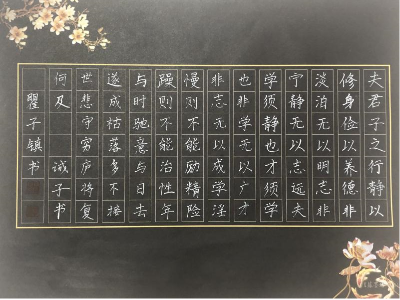 155601-611395.png 圖片.png